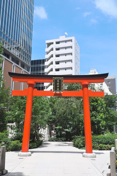 中奖与希望